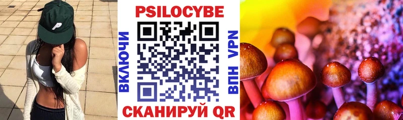 Псилоцибиновые грибы прущие грибы  Нальчик 
